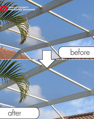 Pool Cage/Screen Enclosure Soft Wash Palm Harbor, FL
