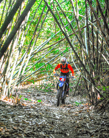 Bali dirt bike tours