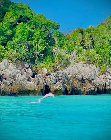 pink dolphins thailand