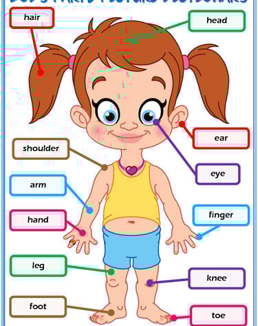 body parts vocabulary esl picture dictionary worksheet for kids