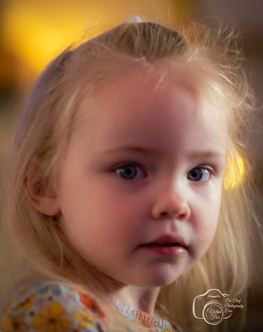 A sweet blonde toddler with big blue eyes looks curiously forward, her wispy hair catching the golden light in a close-up