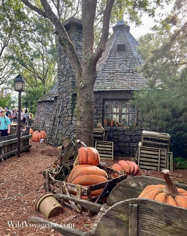 La cabane de Hagrid à Universal Studios en Floride