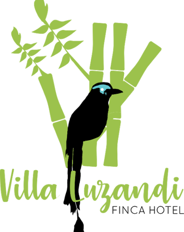 finca hotel Villaluzandi. Quimbaya Quindio