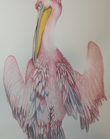 watercolor painting of a pink pelican