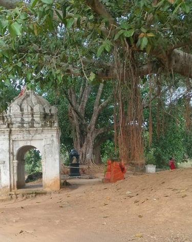 banyan tree