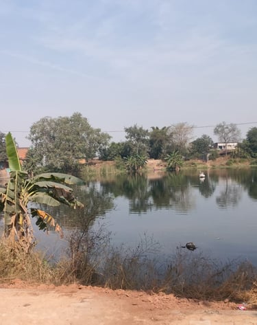 pond