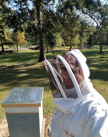 a beekeeper with a beehive