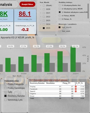 Web Parduotuvės pavyzdinė Power bi ataskaita