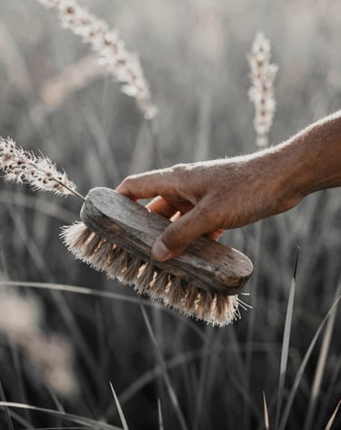 An artistic shot of a hand gently brushing through tall, sun-bleached grass. The lighting is backlit, creating a halo effect. Colors include #C4B29A and #262626 for deep shadows. The composition is intimate and nostalgic.