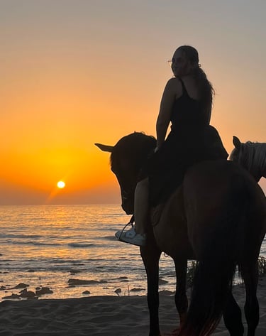 b_equestre,centre_equestre,cours_equitation,balade_a_cheval,balade_plage,balade_coucher_de_soleil,ch