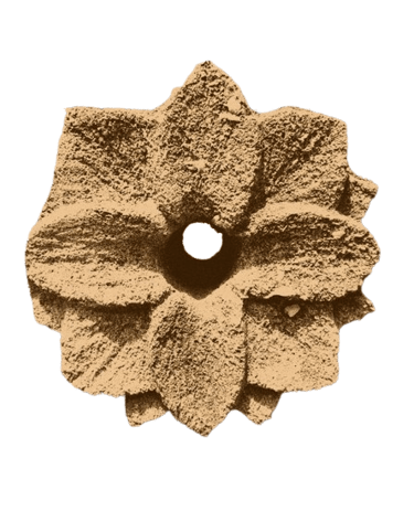 Fleur de pierre