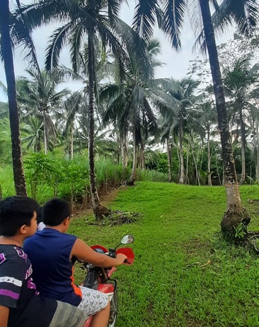My nephews love motorcycling