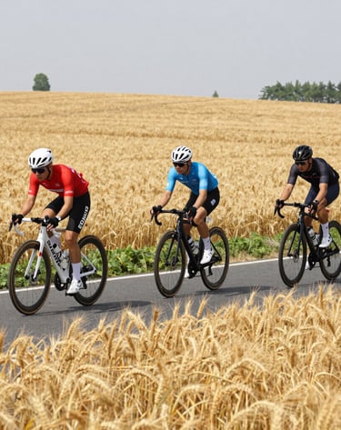 Group of riders sharing a break at a rustic local eatery with traditional food and wine.