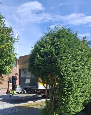 DHL enlève une palette de pots de peinture suédoise  en 2025 pour B to B