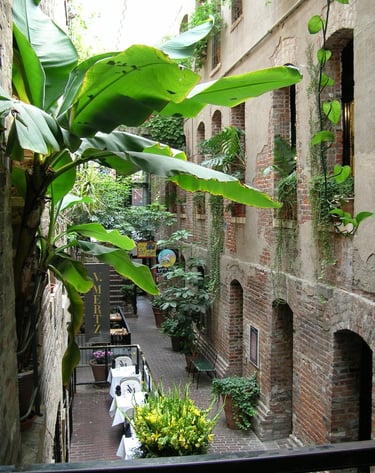 a covered alley with doorways and windows on two levels on the sides with plants in the windows