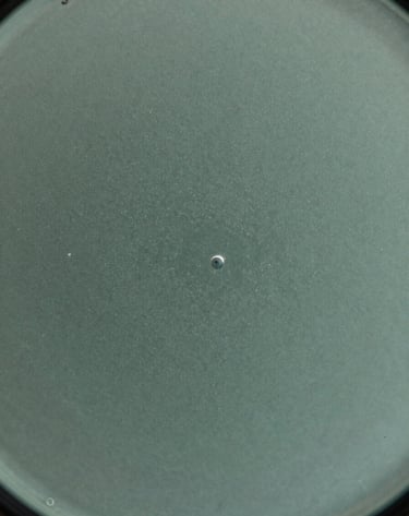 Extreme macro photography of a glass surface with subtle frosted sage glass tints. Light refracts through the surface, creating an abstract, cinematic image of microscopic particles that resemble stars or bosons.