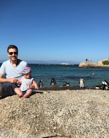 Guests at Boulders Beach with Penguins 