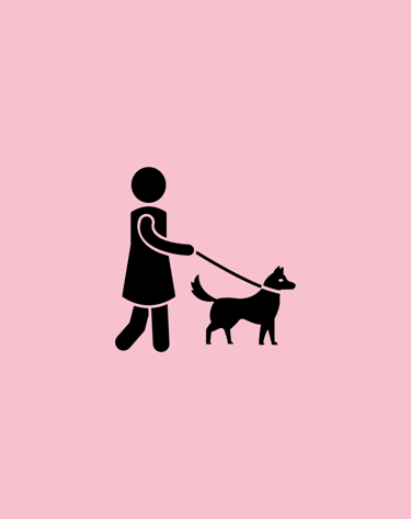 Half-Day or Full-Day Walk 