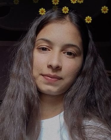 Federal Institute of Computer Application Student