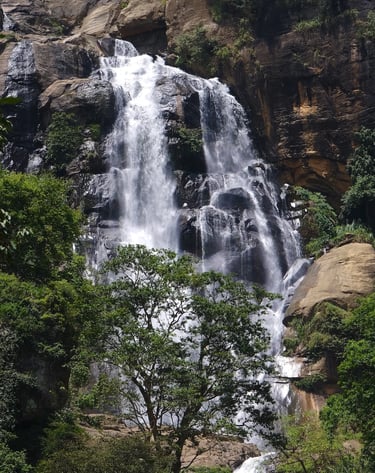 a waterfall in the middle of a forest