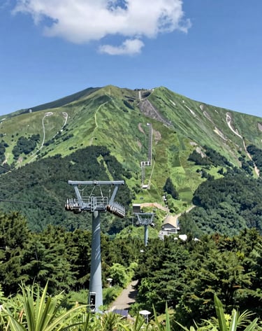 Group meditation session outdoors with lush greenery and soft morning light in a Japanese garden.
