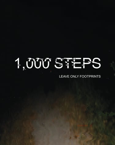 1000 Steps, One thousand steps, 2021, Poster, A Dark Trail