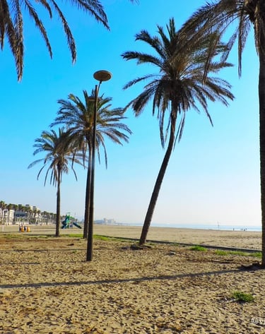 Playa de la Patacona con palmeras y el mar al fondo