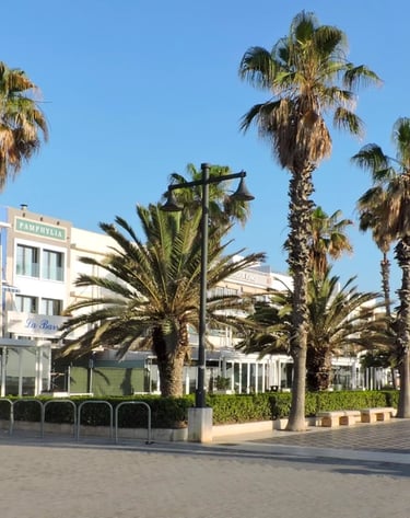 Paseo de la Playa de las Arenas en Valencia
