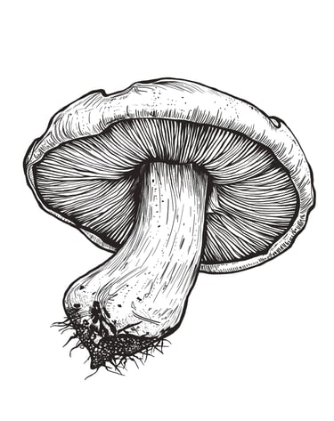 Black Pencil Mushroom by Sezer Ali