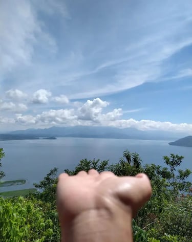 a person holding their hand up to the camera