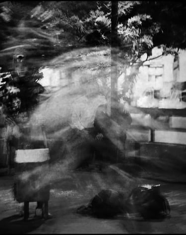 Somnio: a man sitting on a bench in a park