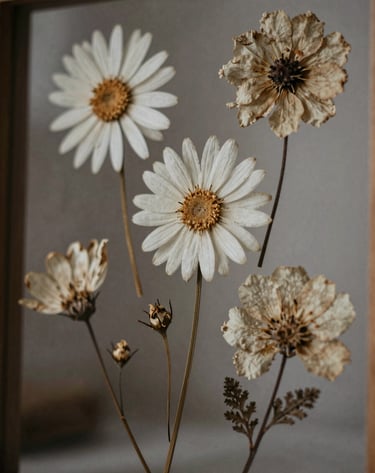 A blurry, artistic shot of dried flowers pressed against a glass pane. Low contrast, muted tones, indie zine aesthetic. Colors: #8C735F, #F8F3EC.