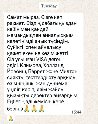 Пікір: кәсіп таңдау тренингі Самат Панов — VISA, Холланд тесттері, Қазақстан