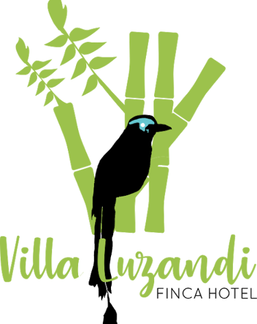 finca hotel Villaluzandi. Quimbaya Quindio