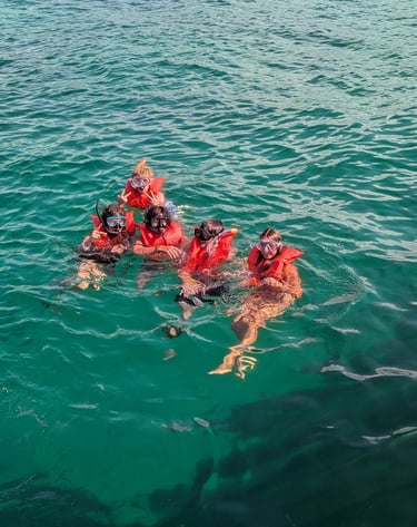 Saona Island Snorkeling