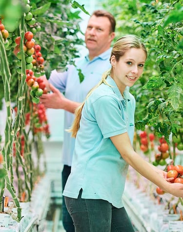 #career_expert_global_jobs_in_portugal