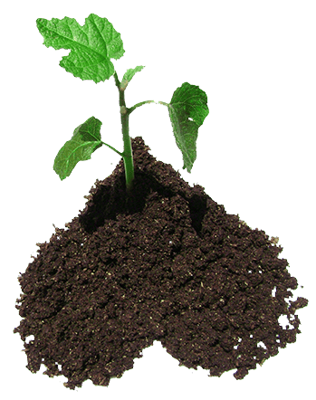 a heart of soil with a small plant growing out of it