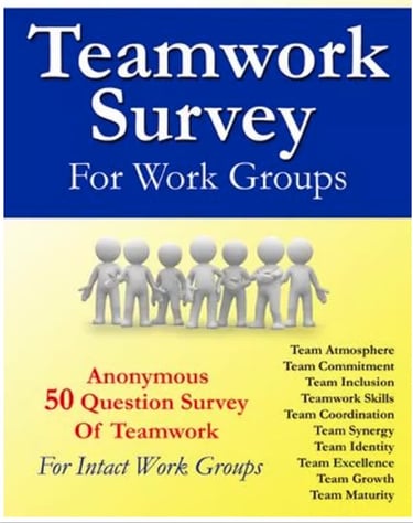 The Teamwork Survey For Work Groups - Anonymous 50 question Survey and Facilitator Guide