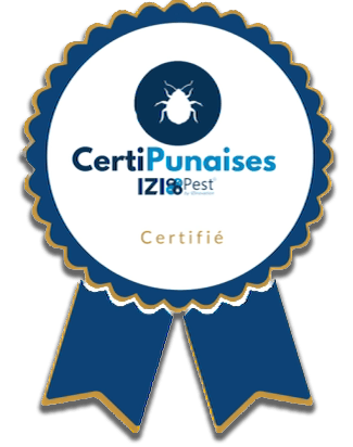 Certi punaise 2024