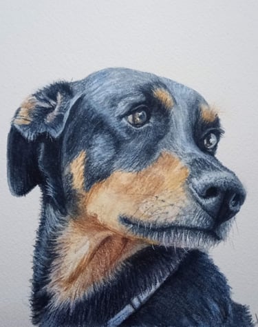 Pet Portrait painting