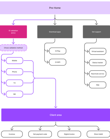 Pre-Home to client area flow