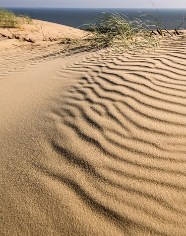 ThetaHealing mokymai Bazinis DNR - smėlio kopos pajūryje