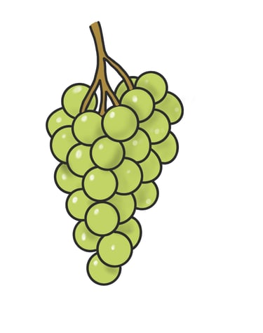 Dessin original de grains de raisins provenant de l'univers de Calnima autrice française indépendant