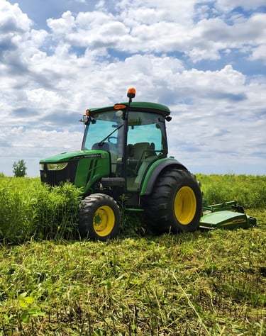 bush hogging and corridor clearing Louisiana and Mississippi right of way
