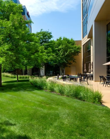 commercial groundskeeping and landscaping services Louisiana and Mississippi