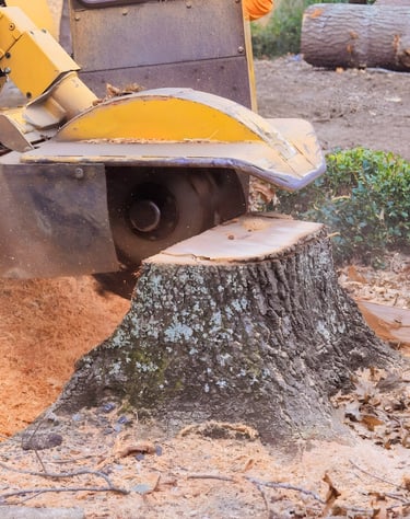 stump removal and site clearing services Louisiana and Mississippi construction prep