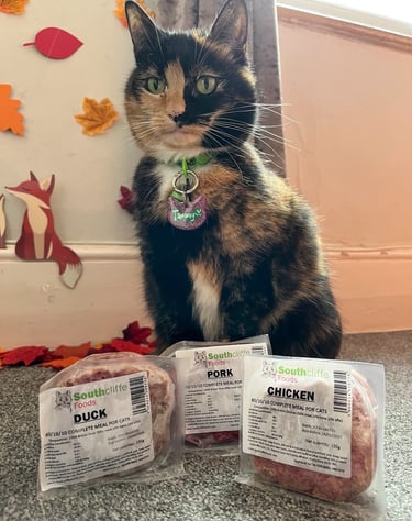 Tammy with three packs of complete raw food ordered from Kitty's Rawr Store