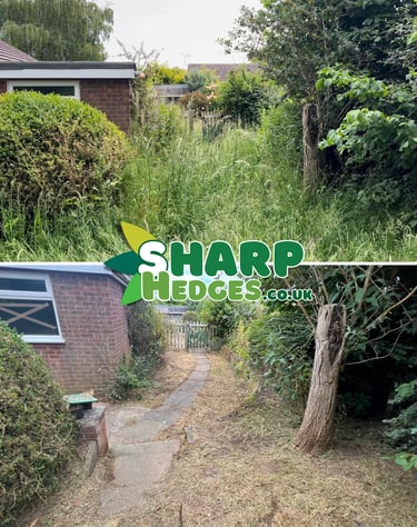 Garden clearance and green waste removal in County Durham by Sharp Hedges