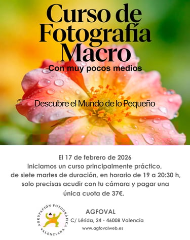 Cartel curso Macro Fotografía 2026