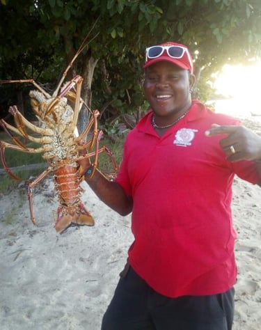 Romeo Lobster